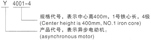 西安泰富西玛Y系列(H355-1000)高压YE2-315S-2三相异步电机型号说明