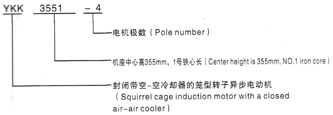 YKK系列(H355-1000)高压YE2-315S-2三相异步电机西安泰富西玛电机型号说明