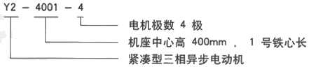 YR系列(H355-1000)高压YE2-315S-2三相异步电机西安西玛电机型号说明